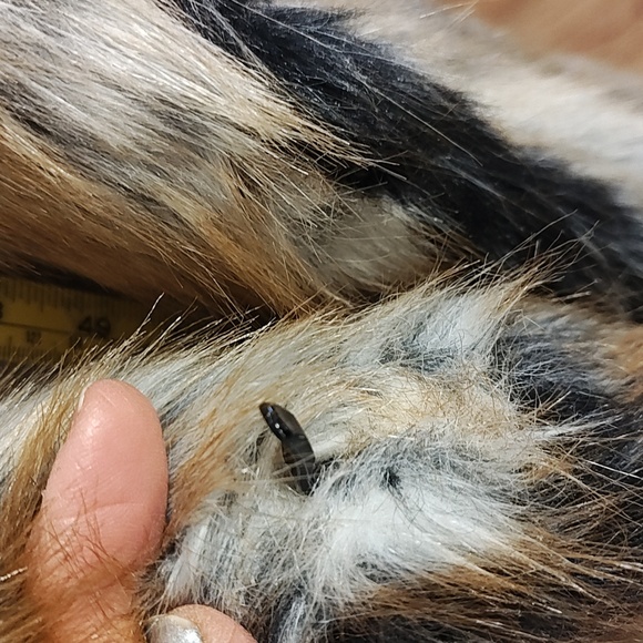 Fabulous Furs Multitone Faux Fur Jacket - Picture 10 of 10